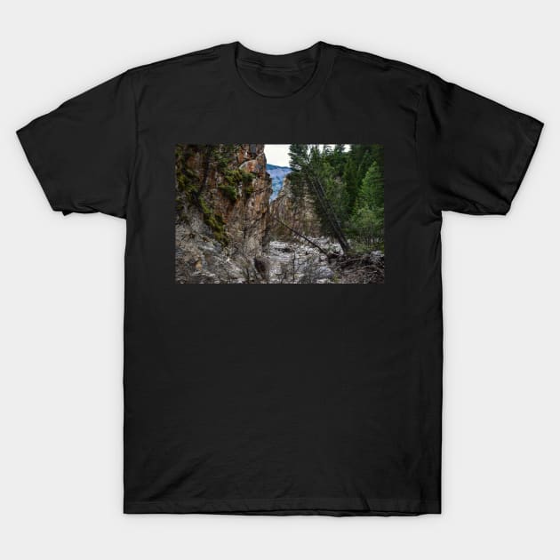 Kings Creek Trail. T-Shirt by CanadianWild418